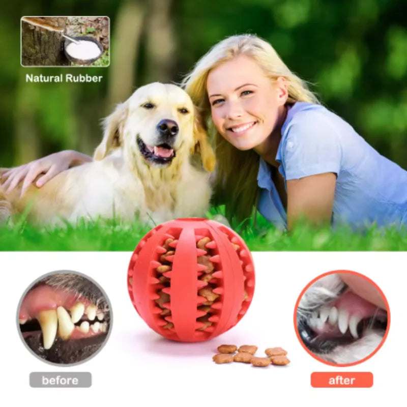 Interactive Dog Toy Ball Rubber Chew Ball for Puppies Pet Tooth Cleaning Feeder Silicone Treat Ball for Cats And Dogs
